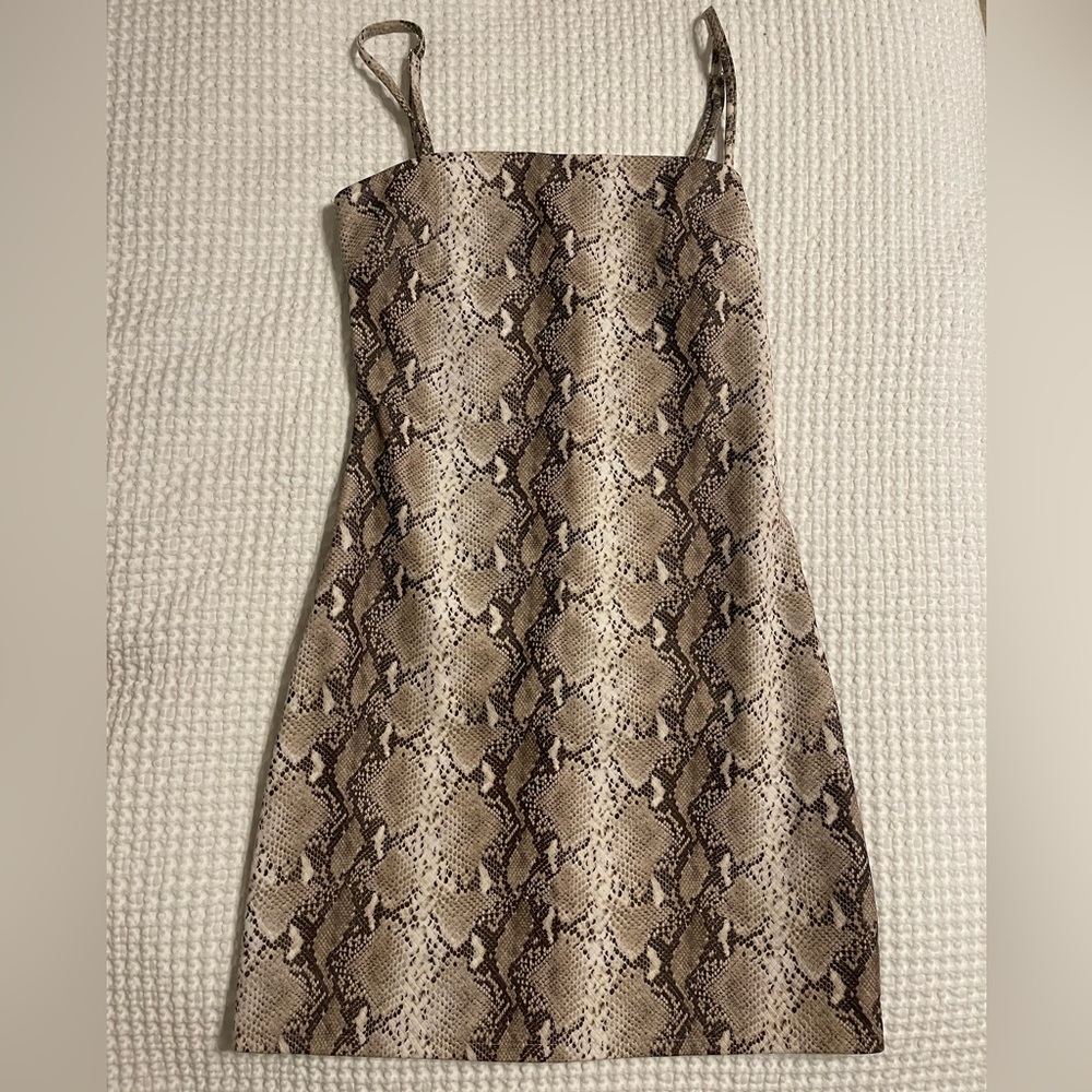 Tiger Mist snake print mini dress